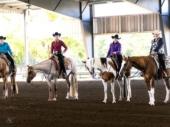 Around the Rings – 2025 Florida Color Horse Club Gator Classic