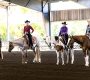 Around the Rings – 2025 Florida Color Horse Club Gator Classic Around the Rings – 2025 Florida Color Horse Club Gator Classic