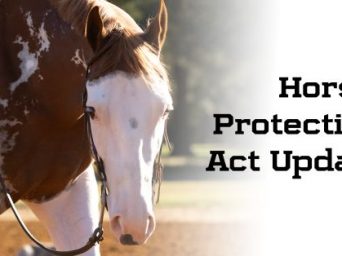 Horse Protection Act Update—May 2025