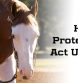 Horse Protection Act Update—May 2025