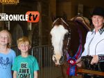 Ima Hugable Impulse at the 2025 APHA World Show