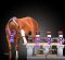 DIY Amateur Tiffany Riehm and Livin On White Claws Sweep Hunter Longe Line at APHA World DIY Amateur Tiffany Riehm and Livin On White Claws Sweep Hunter Longe Line at APHA World