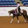 EC Photo of the Day – APHA World Show 2015