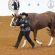EC Photo of the Day – APHA World Show 2017