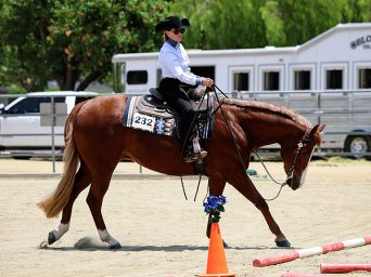 Around the Rings – 2025 Chino Hills HSA All Breed Show