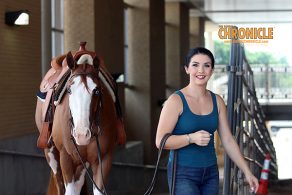 2025 APHA World Show Stall Assignments are Posted