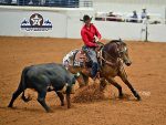 More Around the Rings – 2025 Appaloosa National & Youth World Show