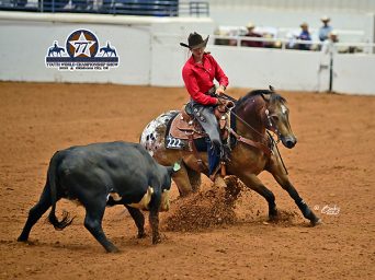 More Around the Rings – 2025 Appaloosa National & Youth World Show
