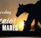 Breeding Senior Mares Breeding Senior Mares