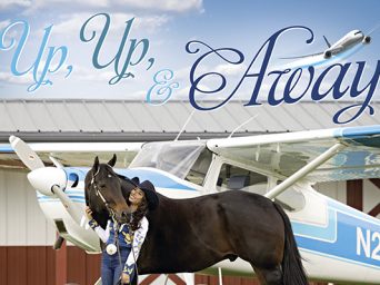 Up, Up, And Away