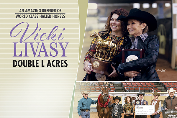 An Amazing Breeder Of World Class Halter Horses – Vicki Livasy