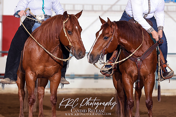 Around the Rings – 2025 Lisa Terry Memorial Show