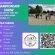 Connecticut Color Breed Association Announces Third Annual Championship Show