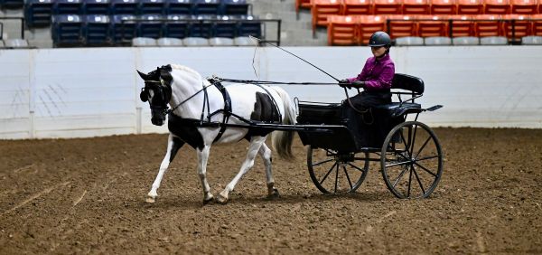 EC Photo of the Day – Aubrey Shaffer and Princess Peach