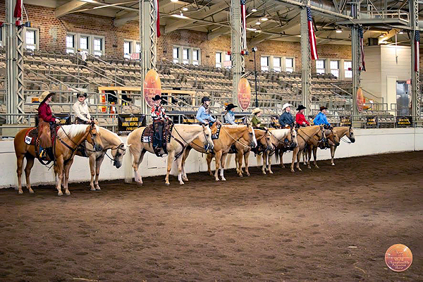 More Around the Rings – 2025 Palomino HBA World Championship Show