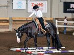 Around the Rings – 2025 Michigan Apple Blossom Circuit June Show