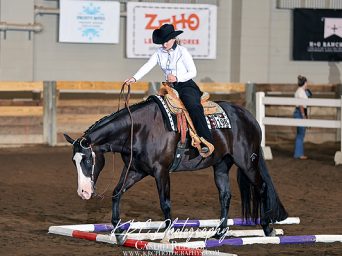 Around the Rings – 2025 Michigan Apple Blossom Circuit June Show
