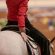 2026 AQHA Leveling Point Ranges
