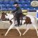 Practice Horse Judging via Extension Horses, Inc.