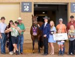 The Family Horse – TNR Latte On Ice