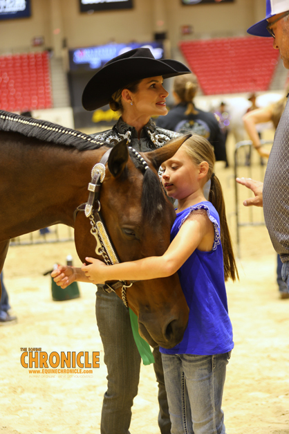 EC Photo of the Day – A Lovely Horse
