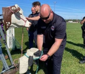 MSU Extension offers two Emergency Response to Accidents Involving Livestock (ERAIL) trainings in the Upper Peninsula
