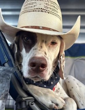 EC Photo of the Day – Cowboy Ben the Pointsetter