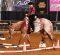 Jennifer Paul Joins NSBA Quarter Million Dollar Club