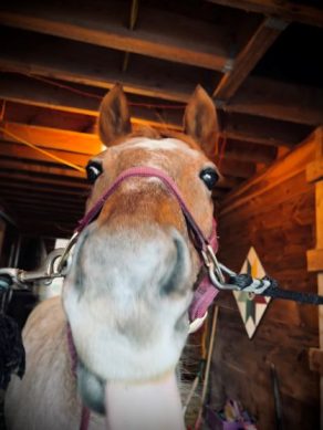 EC Photo of the Day – A Monday Morning Selfie
