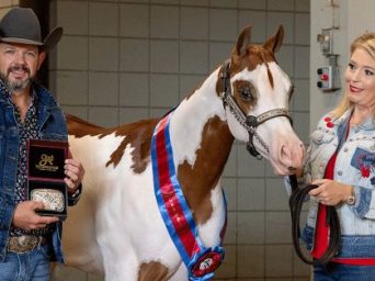 2025 APHA/WCHA Halter Million