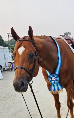 EC Photo of the Day – The Comeback is Stronger Than the Setback