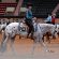 Excitement Awaits at 2025 Appaloosa World Show
