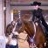 EC Photo of the Day – When Horses Are Family