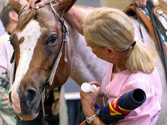 Senior Western Riders Work One-Of-A-Kind Pattern