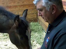 In Loving Memory of Joe Mizzi, 1956-2025