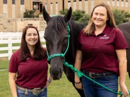 Texas A&M’s New Hemoperfusion Clinical Trial Offers Hope For Large Animal Patients
