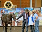 More Around the Rings – 2025 Breeders Halter Futurity – Day Three