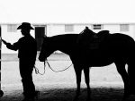 Around the Rings – Indiana QHA Fall Fling