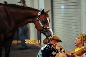 EC Photo of the Day – Love of Animals