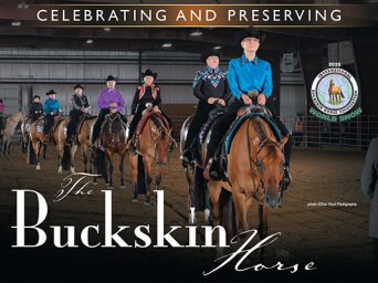 Celebrating And Preserving The Buckskin Horse