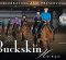 Celebrating And Preserving The Buckskin Horse Celebrating And Preserving The Buckskin Horse