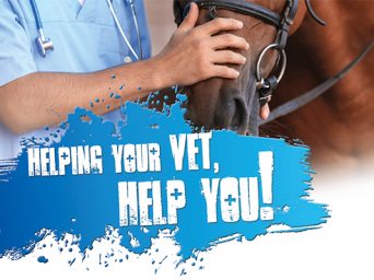 Helping Your Vet Help You!