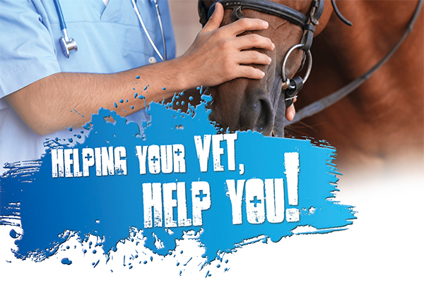 Helping Your Vet Help You!