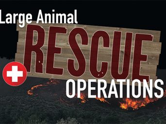 Large Animal Rescue Operations