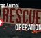 Large Animal Rescue Operations Large Animal Rescue Operations
