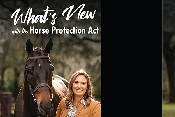 What’s New With The Horse Protection Act