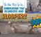 The Show Must Go On…Embracing The Blunders And Bloopers The Show Must Go On…Embracing The Blunders And Bloopers
