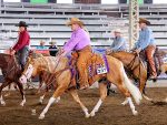 Around the Rings – 2025 Iowa QHA Fall Classic & Futurity