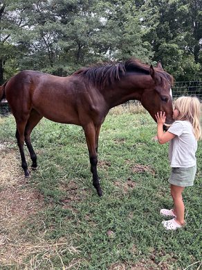 EC Photo of the Day – Tinsley, Tito, and Stella – A Love Story