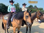 Around the Rings – 2025 National Open Horse Show Association World Show